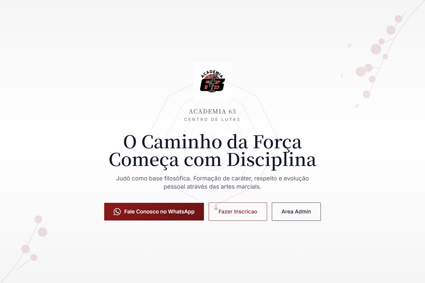 Academia 63 website